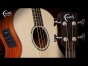 Faith Guitars | Natural Titan Acoustic Bass | Electro | FTNE