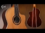 Faith Guitars | HiGloss Lyra Nylon String | Cutaway Electro | FLCEHG3