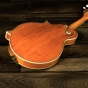 Barnes & Mullins Piercy F-Style Mandolin