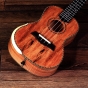 Barnes & Mullins Concert Ukulele - Spalt Maple