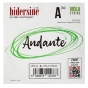 Hidersine Andante Viola A String 16" - 15"