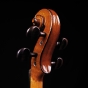 J. Thibouville-Lamy Violin 4/4 - Sarasate Élève 