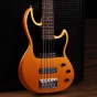 Shergold Libertine Standard Bass SBL15 Metallic Gold Gloss - 5 String