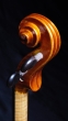 J.T.L Violin 4/4 Violons de Maître - Guarnerius